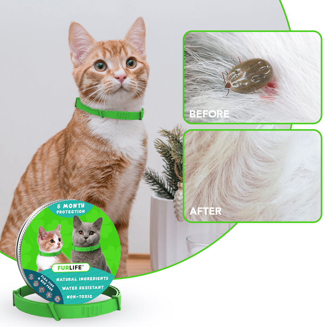 FurLife™ Flohschutz-Halsband